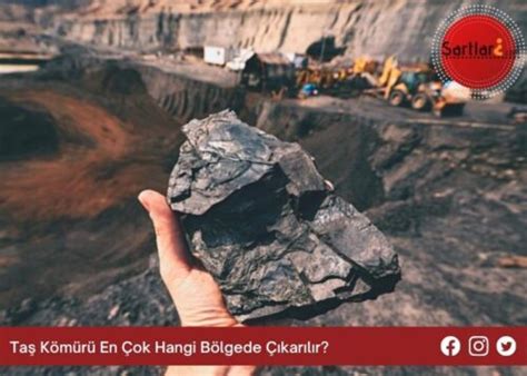 taş kömürü en çok hangi ilde çıkarılır